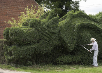 75-Year old man spends 13 years making a dragon from his hedge