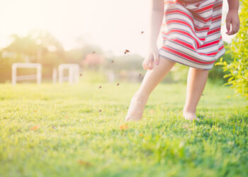 Why does the bite of a mosquito itch so much?